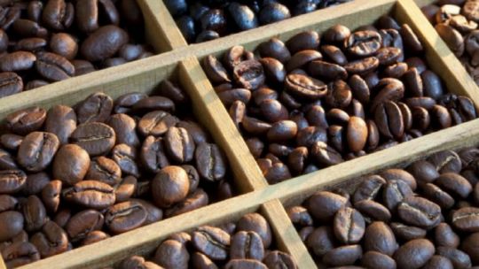 la-produccion-de-cafe-enfrenta-una-crisis