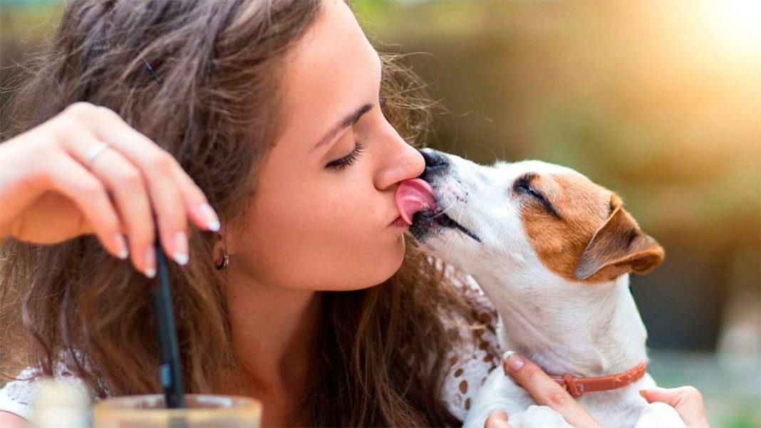 investigadores-afirman-que-los-besos-de-los-perros-podrian-transmitir-bacterias-peligrosas-a-los-humanos