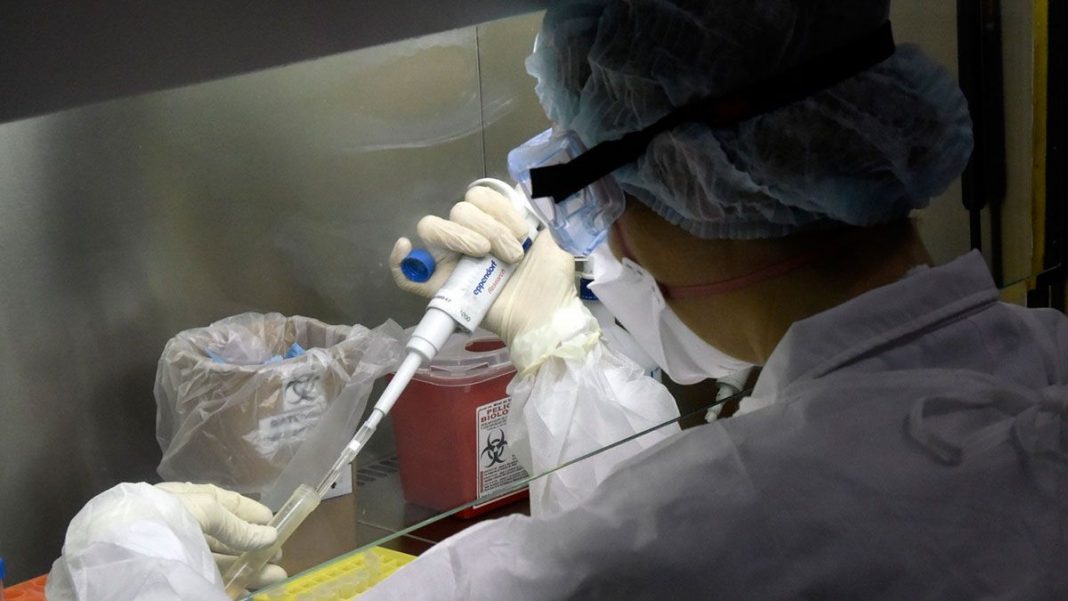 el-ministerio-de-salud-de-la-nacion-confirmo-dos-nuevos-casos-de-viruela-simica-en-argentina