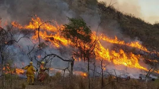 incendios-forestales:-el-fuego-sigue-azotando-a-tres-provincias-argentinas