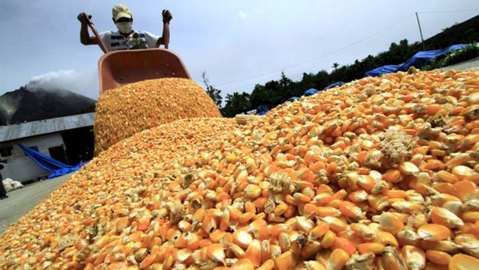 el-gobierno-destinara-$15.000-millones-para-subsidiar-a-productores-de-soja-y-maiz