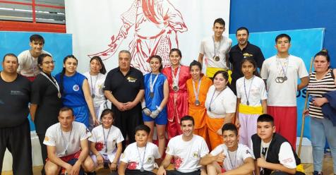 destacada-actuacion-de-santiaguenos,-en-el-torneo-festival-de-artes-marciales